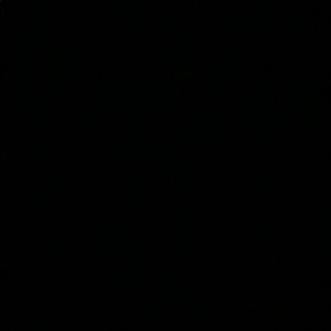 Meet your Posher, Afsheen